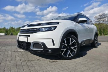 Biała Perła full serwis